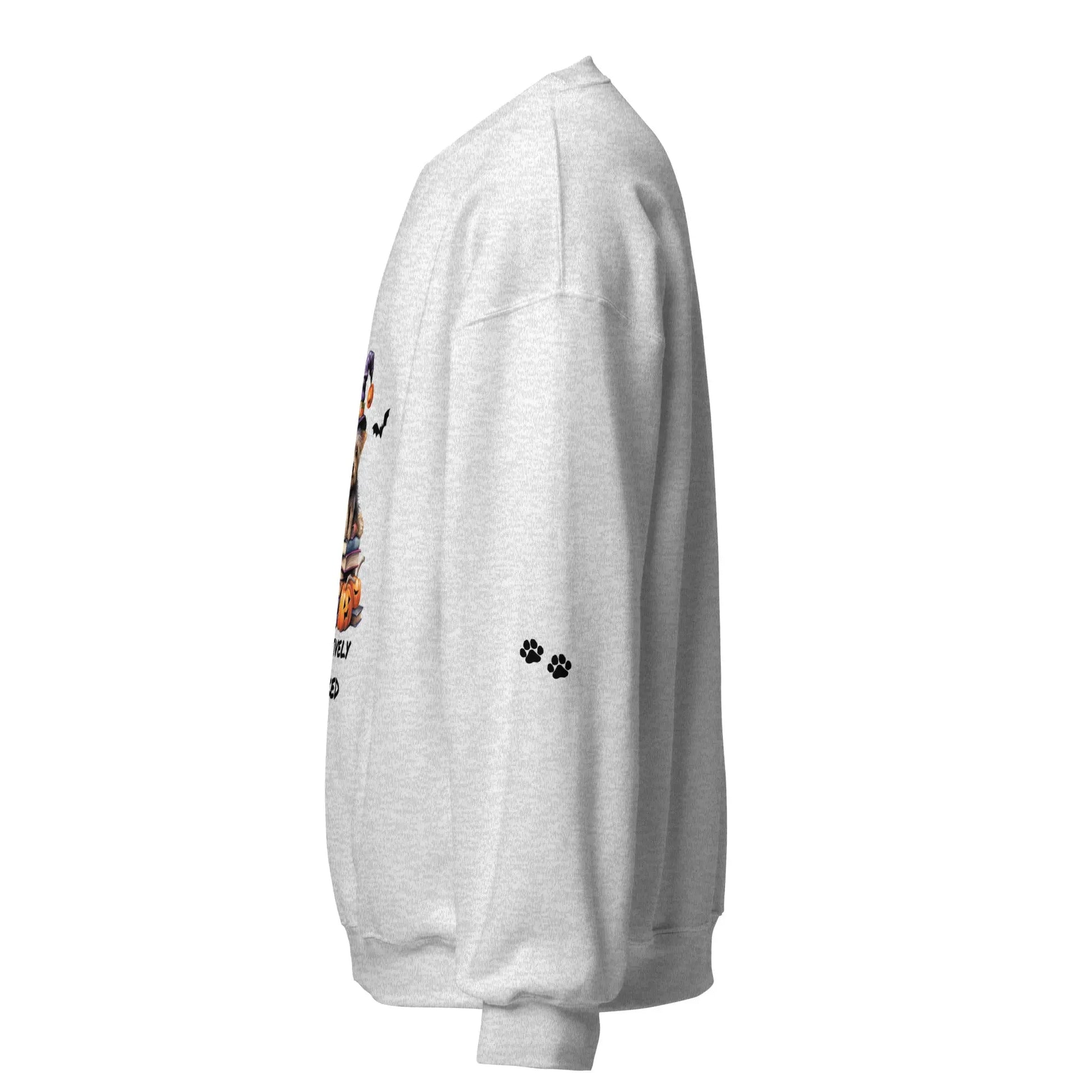 Pawsitively Booked Sweatshirt With Paws On Sleeves - TBRaring