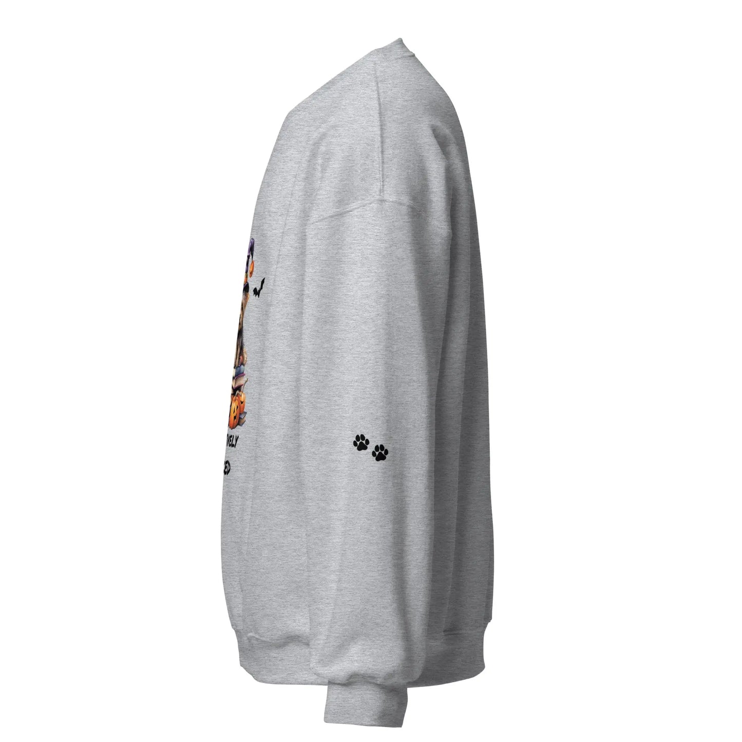 Pawsitively Booked Sweatshirt With Paws On Sleeves - TBRaring