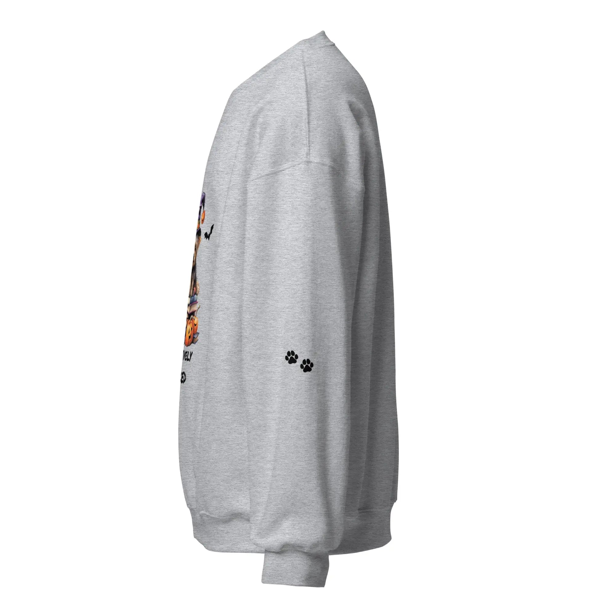 Pawsitively Booked Sweatshirt With Paws On Sleeves - TBRaring