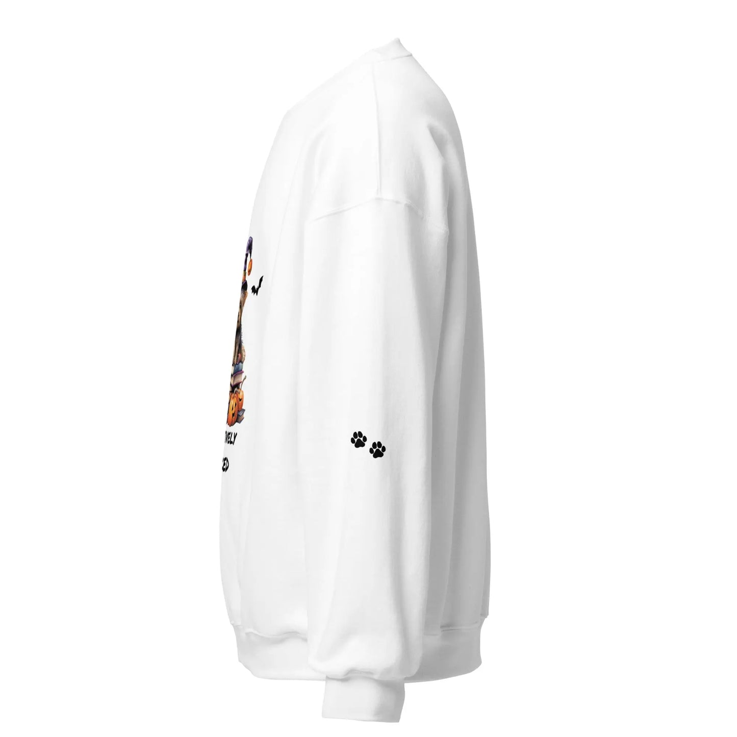 Pawsitively Booked Sweatshirt With Paws On Sleeves - TBRaring